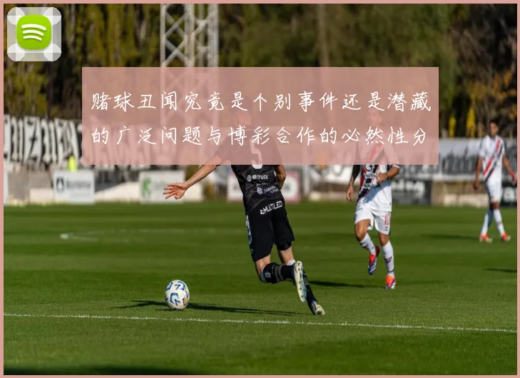 赌球丑闻究竟是个别事件还是潜藏的广泛问题与博彩合作的必然性分析
